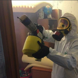 Уничтожение клопов в квартире. Дигора